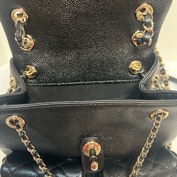 Chanel Mini Duma Backpack - Picture 8 of 11